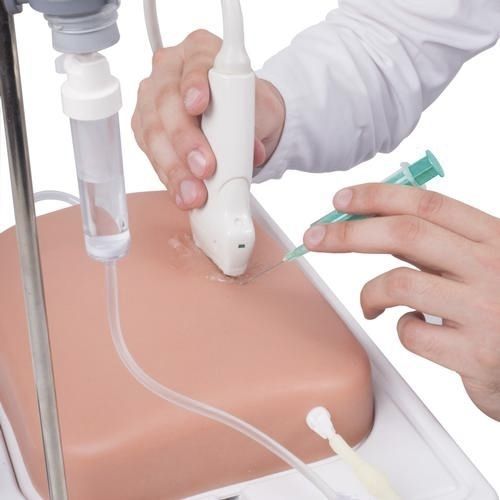 Simulador para ecografía - P120 - 3B Scientific   - de formación / de inyección / de palpación