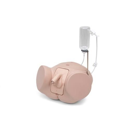 Simulador de cateterismo - P93SPC-M - 3B Scientific   - masculino / de pene