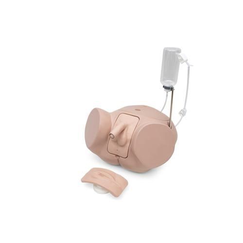 Simulador de cateterismo - P93SPC-S - 3B Scientific   - femenino / masculino / de kit