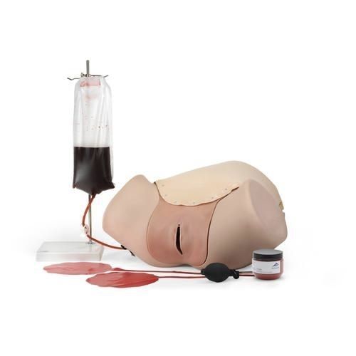 Simulador de formación - P97 - 3B Scientific   - de parto / obstetricoginecológico / femenino