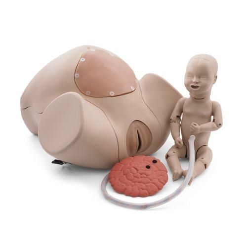 Simulador de formación - P90PN - 3B Scientific   - de parto / obstetricoginecológico / de embarazo