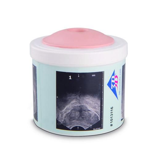 Simulador de palpación de la próstata - P58/1  - 3B Scientific   - de formación / para cuidados clínicos / pad