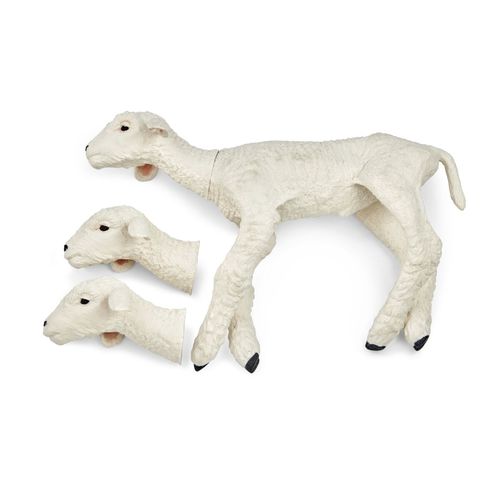 Modelo anatómico de cuerpo entero - 102565 series - 3B Scientific - veterinario / de formación / blanco