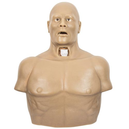 Simulador de toracocentesis - 6N1 - 3B Scientific   - para atención general / masculino / de torso