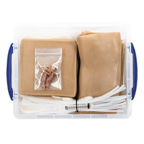 Simulador de anestesia - 1025975 - 3B Scientific   - de formación / para sutura / para atención general