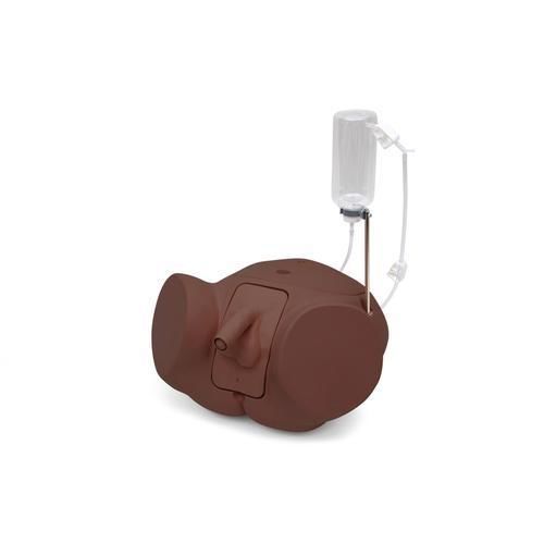 Maniquí de prácticas para cuidados urológicos - PRO - 3B Scientific   - de cateterismo urinario / para cateterismo masculino / masculino