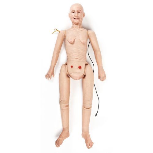 Maniquí de prácticas para cuidados dentales - TERi™ - 3B Scientific   - para cuidados de enfermería / para cuidados geriátricos / para cuidados de estomas