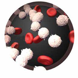 Kit de prueba de mutaciones de BCR-ABL - RQ-105  series - AB Analitica  - de oncología / por fluorescencia / para RT-PCR