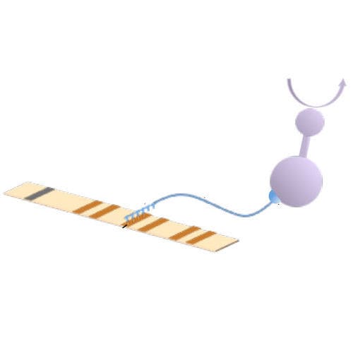 Kit de prueba de trombofilia - 04-71A-20 series - AB Analitica  - de mutaciones del factor V / para PCR
