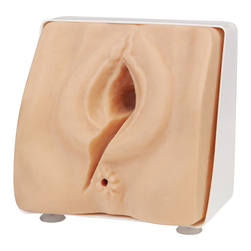 Simulador para sutura - AR312    - Adam, Rouilly - de reparación perineal / para cirugía ginecológica / de anatomía