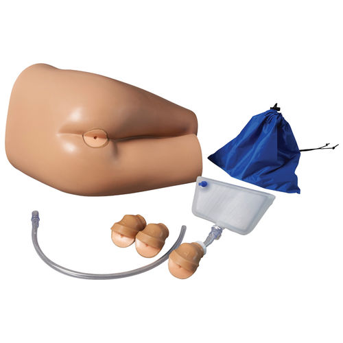 Simulador de formación - AR421 - Adam, Rouilly - de palpación rectal / de extracción / para atención general
