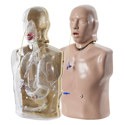 Maniquí de prácticas para cuidados clínicos - CorMan® - Adam, Rouilly - de intubación nasogástrica / de nutrición / de parte superior del cuerpo
