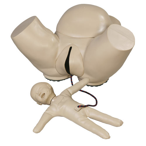 Simulador de formación - AR50S - Adam, Rouilly - de palpación / de parto / obstetricoginecológico
