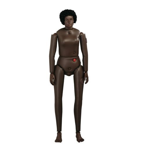Maniquí de prácticas de anatomía - AR1000-B - Adam, Rouilly - para atención general / para vendaje de pacientes / de inyección intramuscular