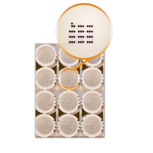 Kit de prueba de la enfermedad Lyme - IA3010 - AID , Autoimmun Diagnostika   - para anticuerpos / de Borrelia burgdorferi / de suero
