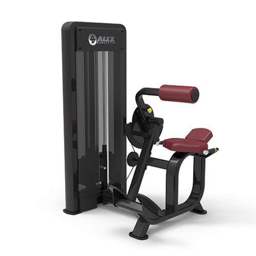 Máquina de musculación extensión de espalda - G-SM-6317 - Alexandave Industries  