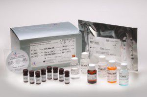 Kit de prueba de vitamina B12 - FMABT100 - Axis-Shield PLC  - de farmacología / de sangre / de suero