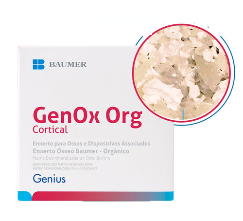 Sustituto óseo xenotransplante - GenOx Org - BAUMER  - para cirugía dental / para cirugía maxilofacial / gránulos