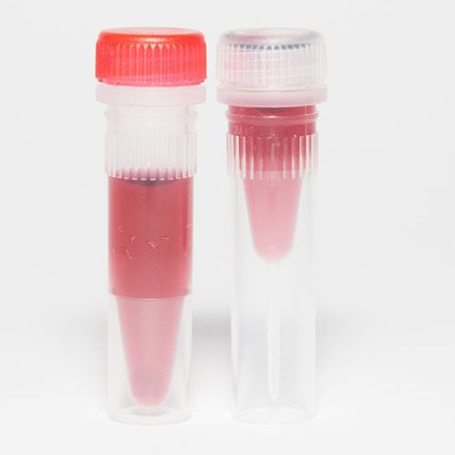 Reactivo albúmina de suero bovino - EM.BSA series - BBI Enzymes  - para ELISA / de alta sensibilidad
