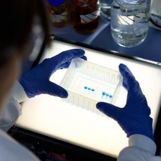 Reactivo antígeno nativo - P186-0B - BBI Enzymes  - de química clínica / para la investigación / para ELISA