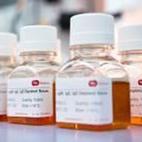 Reactivo de suero - SF505-2 - BBI Enzymes  - de química clínica / para la investigación / líquido