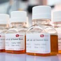 Reactivo de suero - SF100-7 - BBI Enzymes  - de química clínica / para la investigación / líquido