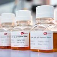 Reactivo de suero - SF231-7 - BBI Enzymes  - de química clínica / para la investigación / líquido