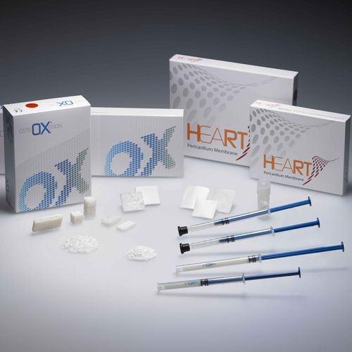 Sustituto óseo xenotransplante - OSTEOXENON&reg; - BiOTECK - para cirugía dental / rígido / gránulos