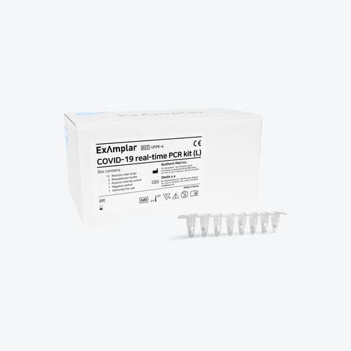 Kit de prueba para COVID-19 - Boditech Med Inc. - para enfermermedades infecciosas / SARS-COV-2 / nasofaríngeo