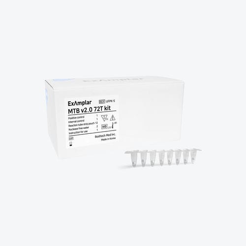Kit de prueba para la investigación - Boditech Med Inc. - Mycobacterium tuberculosis / de expectoración / para PCR