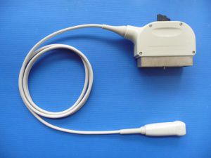 Sonda para ecografía phased array - GP3S  - Broadsound Corporation  - cardíaca