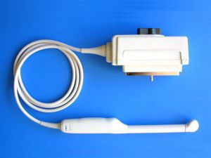 Sonda para ecografía endocavitaria - AL5E12A  - Broadsound Corporation  - transrectal / transvaginal