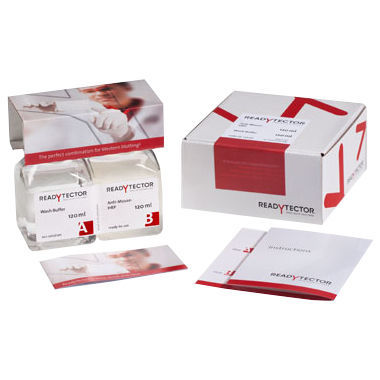 Kit de reactivos en solución - ReadyTector®  - CANDOR Bioscience   - tampón de lavado / para western blot