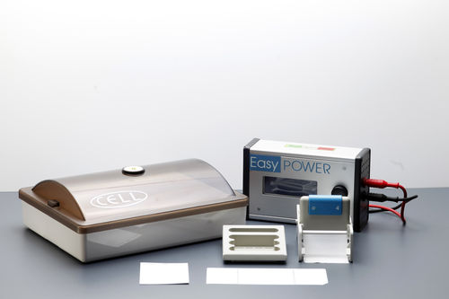 Sistema de electroforesis manual - CELL - Start Project  - para proteínas / para inmunofijación / de mesa