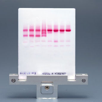 Reactivo en solución - CELL - Start Project  - de electroforesis / de diagnóstico / de hemoglobina