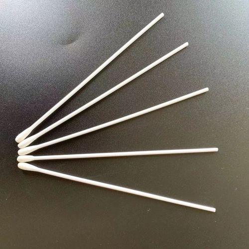 Hisopo de microbiología - swab - Changzhou Medical Appliances General Factory - de laboratorio / para extracción de muestras / para prueba rápida