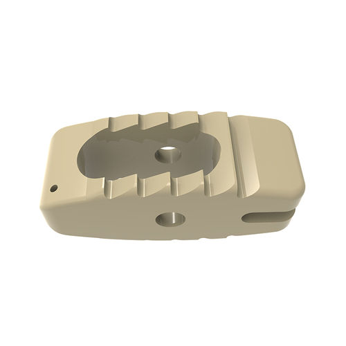 Caja intersomática lumbar - BULLET - Waston medical - vía posterior