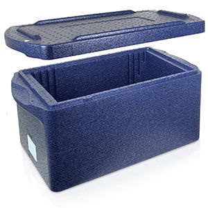 Recipiente para muestras para transporte -  B 1000 20 - delta T - Gesellschaft für Medizintechnik - biológico / de polipropileno / aislante