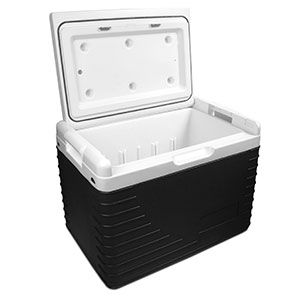 Recipiente para muestras para transporte - B 1000 17 - delta T - Gesellschaft für Medizintechnik - biológico / aislante