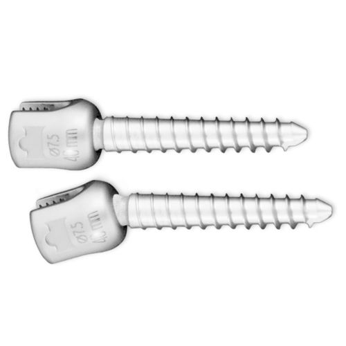 Tornillo pedicular para vértebra torácica, lumbar - UNIFLEX - Dieter Marquardt Medizintechnik  - poliaxial / metálico
