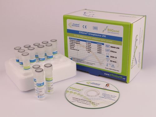 Kit de prueba de enfermedades de transmisión sexual - EG-90049-UNI - Elisabeth Pharmacon spol  - de Ureaplasma urealyticum / de Ureaplasma parvum / de orina