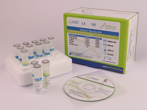 Kit de prueba de la enfermedad Lyme - EG-90024-UNI - Elisabeth Pharmacon spol  - de Borrelia burgdorferi / de Borrelia afzelii / de Borrelia garinii