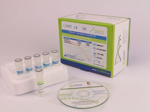 Kit de prueba de HLA-B27 - EG-90060-RT - Elisabeth Pharmacon spol  - SpA / de sangre / para PCR en tiempo real