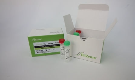 Kit de reactivos enzima - EliZyme™ Probe MIX - Elisabeth Pharmacon spol  - colorante / para PCR en tiempo real / para la reacción de amplificación