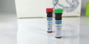 Reactivo en solución - EliDNA PS Green - Elisabeth Pharmacon spol  - colorante / de electroforesis / para ADN