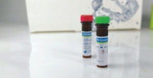 Reactivo colorante - EliDNA PS Green Plus - Elisabeth Pharmacon spol  - colorante / de electroforesis / para ADN