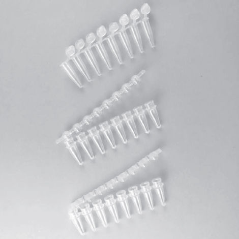 Tubo de ensayo de laboratorio - AP0802FFC series - Elisabeth Pharmacon spol  - para PCR / cónico / de polipropileno