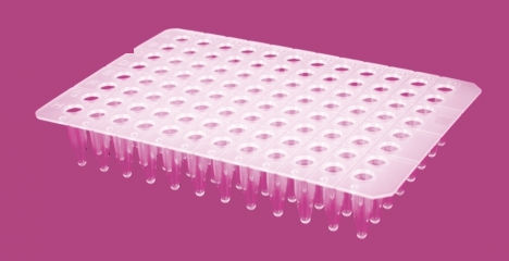 Microplaca para PCR - AP9602CNS series - Elisabeth Pharmacon spol  - de 96 orificios