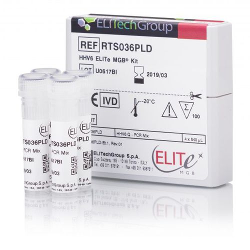 Kit de prueba de herpes - RTS036PLD - ELITech Group  - de herpesvirus humano 6 / por plasma / de sangre total