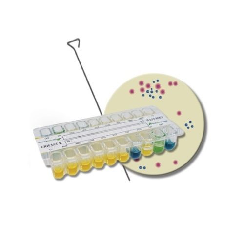 Prueba rápida para prueba de susceptibilidad antibiótica - URIFAST® 2 - ELITech Group  - de enterobacteriáceas / clínica / de laboratorio